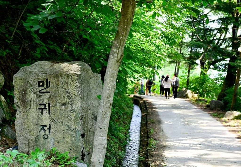 "연중 개방, 입장료 무료"… 여름에 인기 급상승한 '성주 10경 풍경' 5 성주