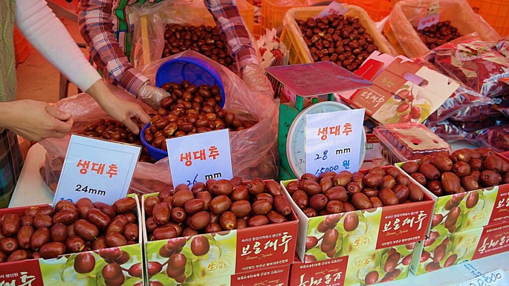 "가을 대추의 놀라운 효능"… 보은 여행 오셔서 확인하세요 1 대추