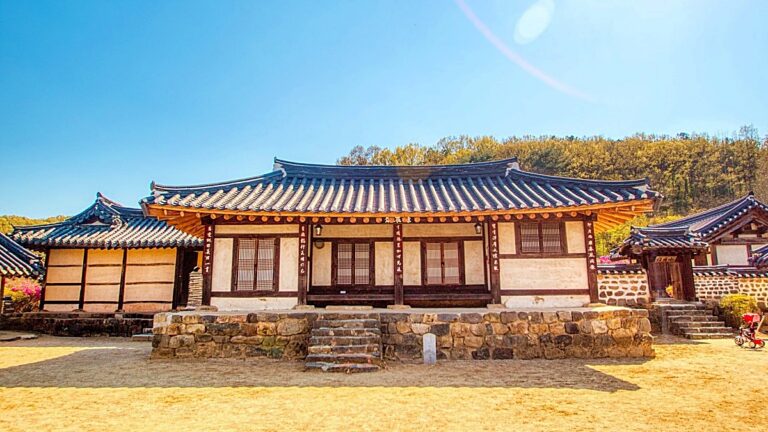사랑나무