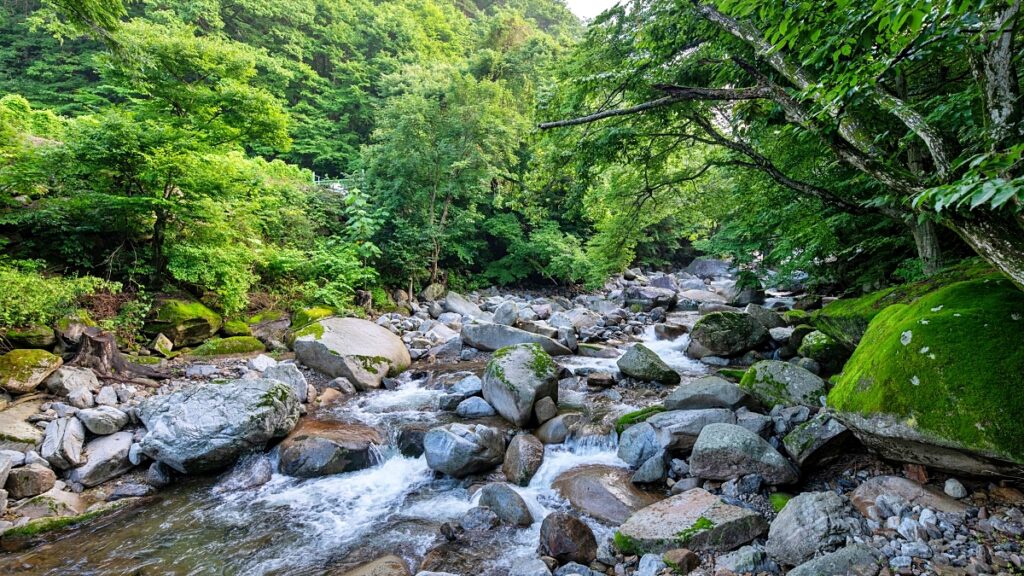 사찰