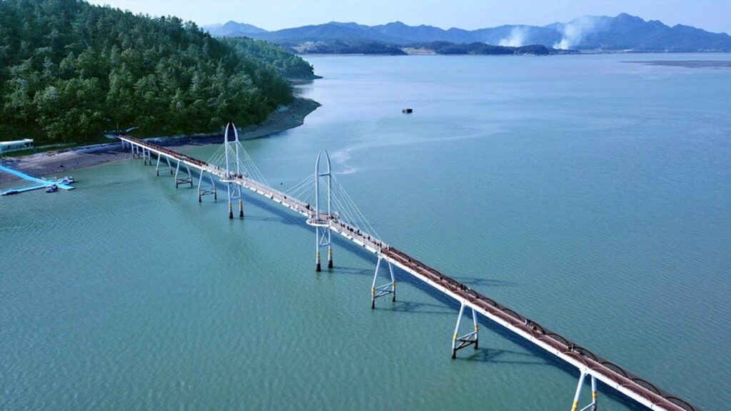 "모노레일과 출렁다리가 있는 섬"… '가고 싶은 섬'으로 선정된 국내 여행지 1 섬