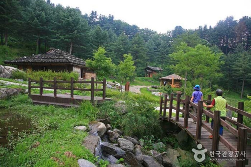 80년 잣나무가 만든 천연 피톤치드 샤워... 도심 피로, 단 하루 만에 사라지는 여행길 2 여행