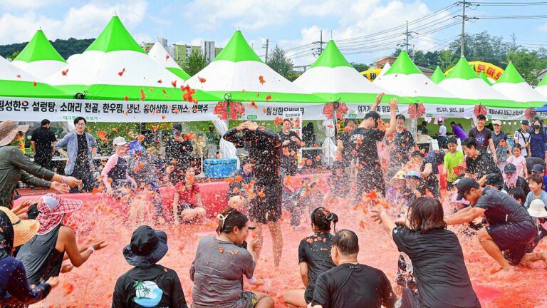 토마토