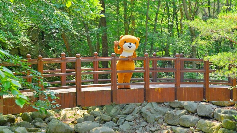 계곡
