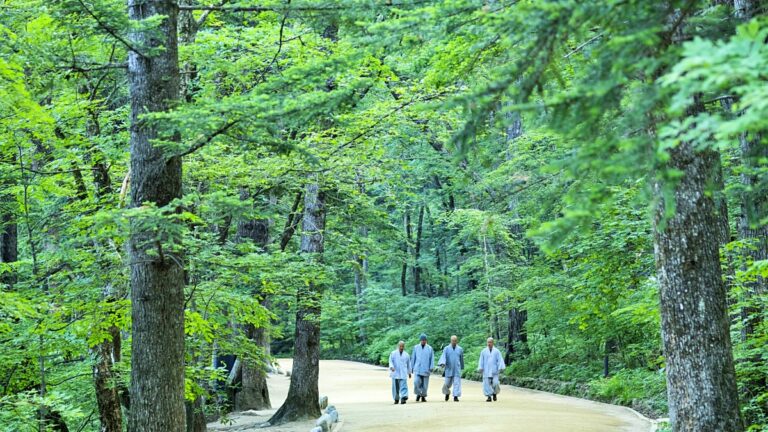 산책