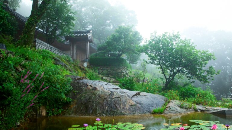 트레킹