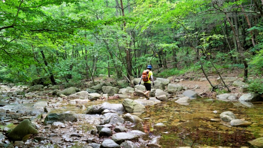 산행