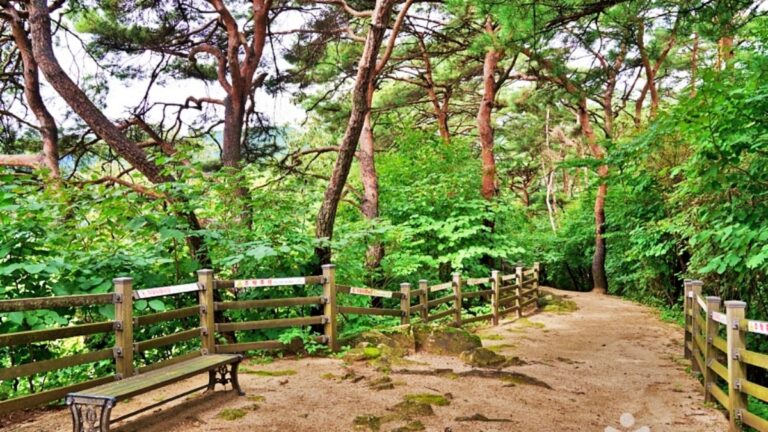 산책