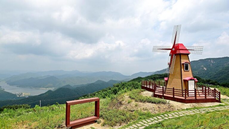 전망대