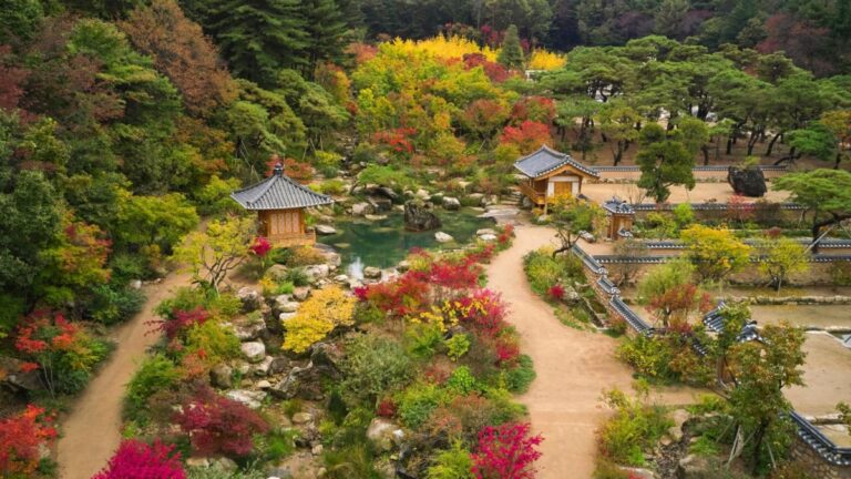 정원