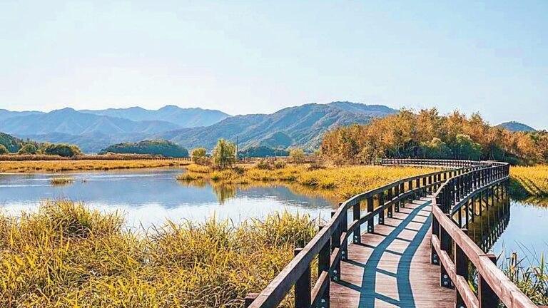철원