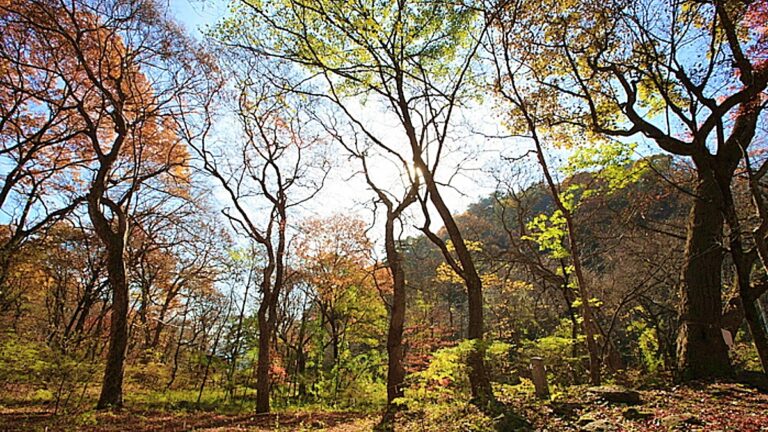 원주