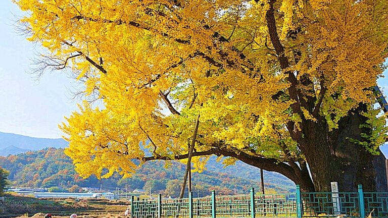 울산