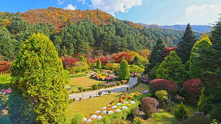 서울 근교