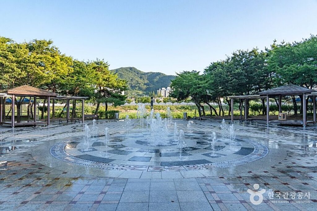 "도심 속 이런 곳이?"… 은빛 팜파스 지나 '핑크뮬리' 기다리는 강변공원 3 핑크뮬리