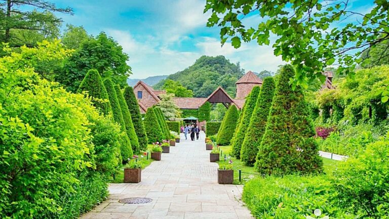수목원