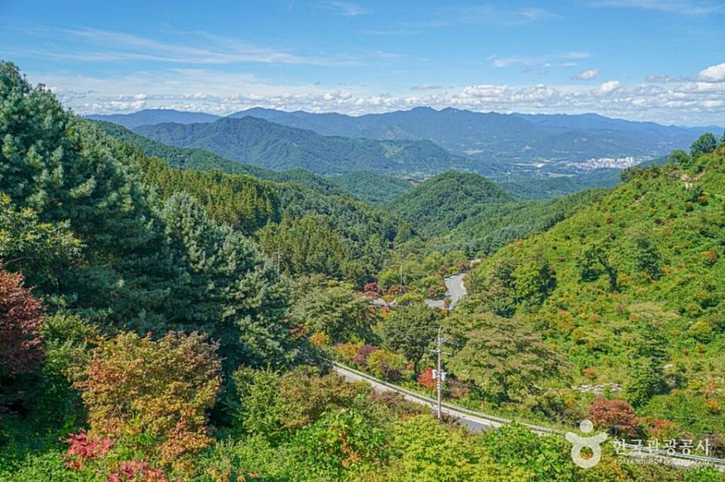 “가을 산행의 숨은 명소”… 함양 '지리산조망공원과 오도재' 무료로 즐기는 장관 4 지리산