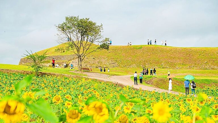 연천