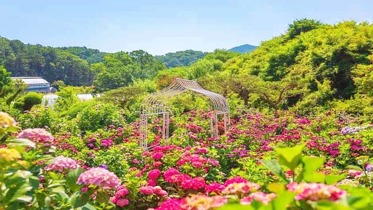 서울 근교