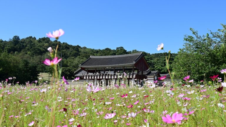 돈암서원