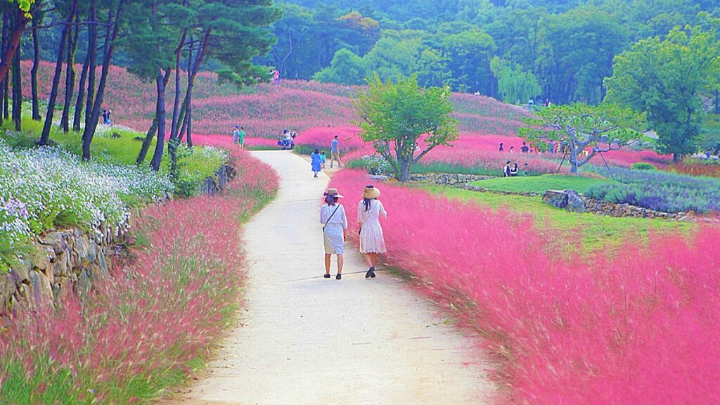 정원
