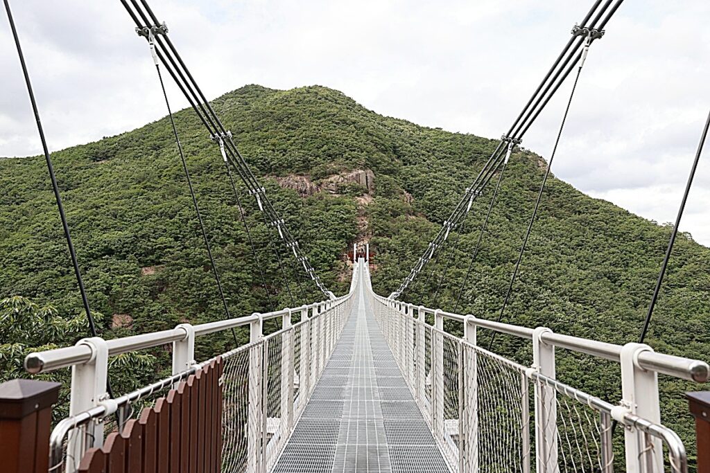 “절경 품은 구름다리가 무료개방”... 9월에 걷기 좋은 산책 명소 3 구름다리