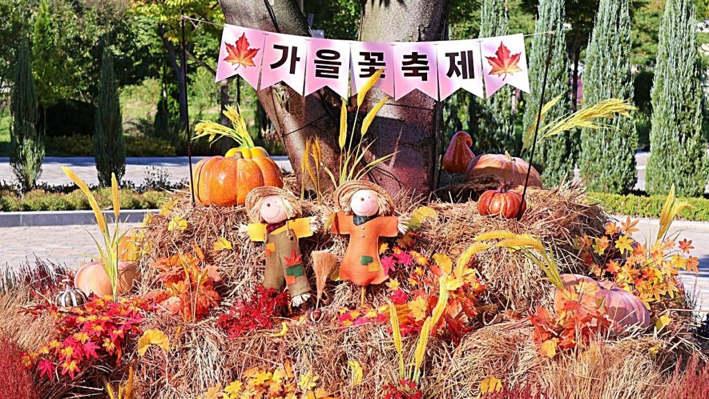 "서울 근교에 이런 곳이?"… '가을 꽃 축제'로 물든 자작나무 정원 1 서울 근교