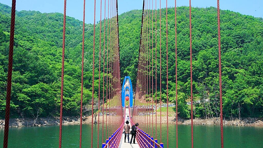 "풍경에 취한다"... 사계절 빛나는 자연과 함께 걷는 '출렁다리 명소' 1 출렁다리