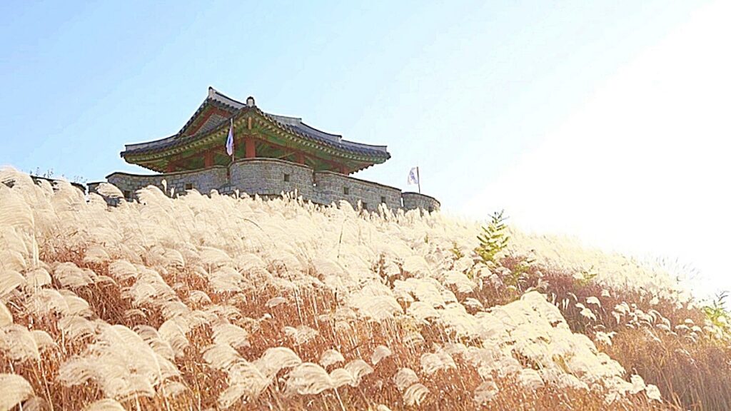 “성곽 아래 반짝이는 은빛 억새” 수원 화서공원, 서울 근교 가을 여행지 1순위 1 수원