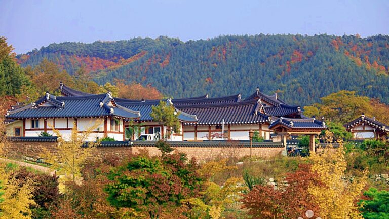 영양