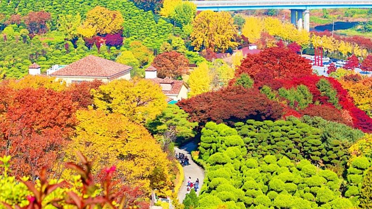 세종