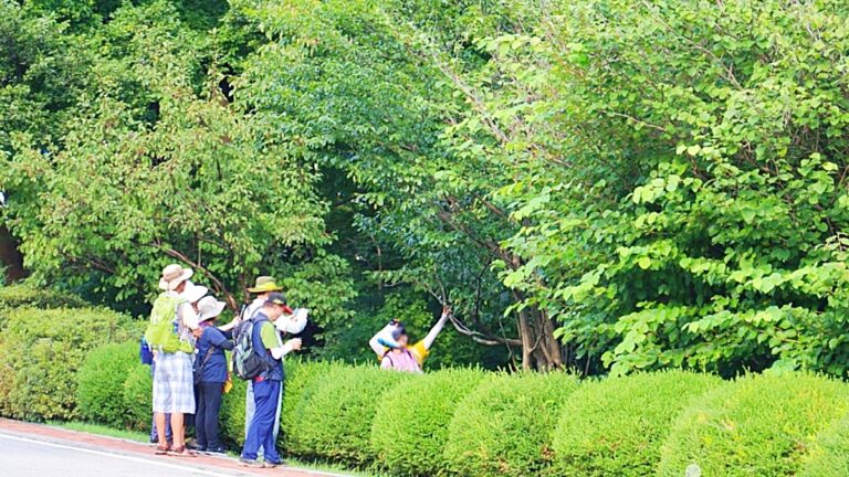 수목원