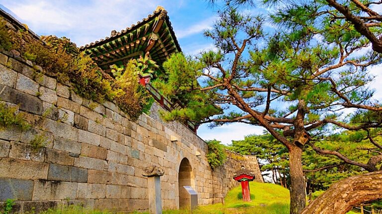 청주
