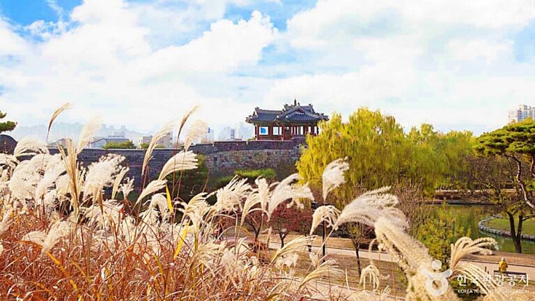 수원