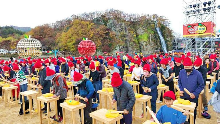 청송사과축제