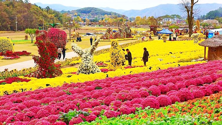 화순