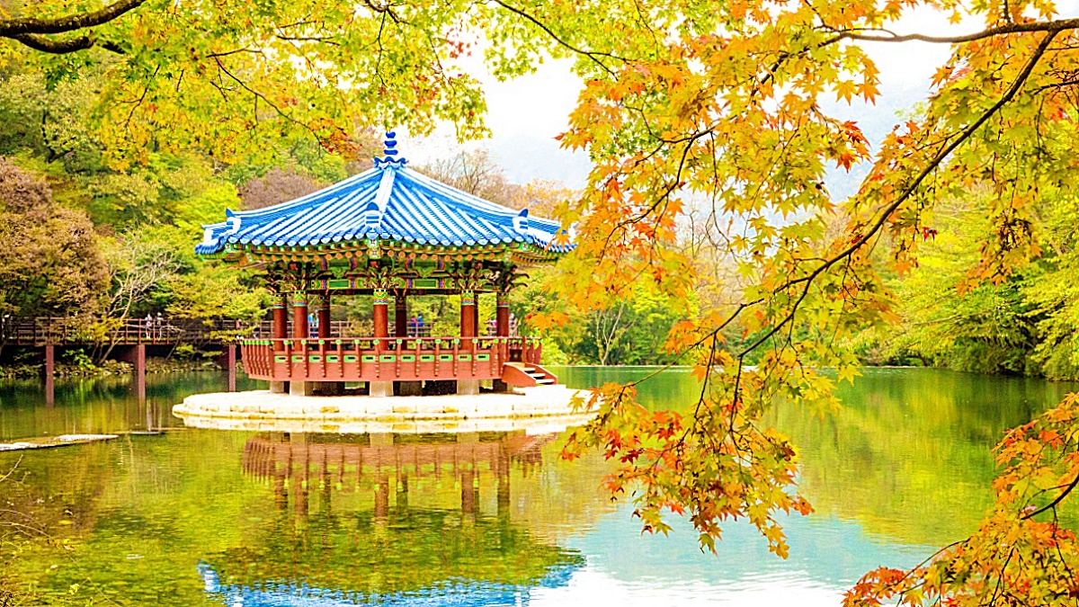 10월부터 누구나 무료”... 담양 '가마골 생태공원', 가을 여행 1순위로 급부상