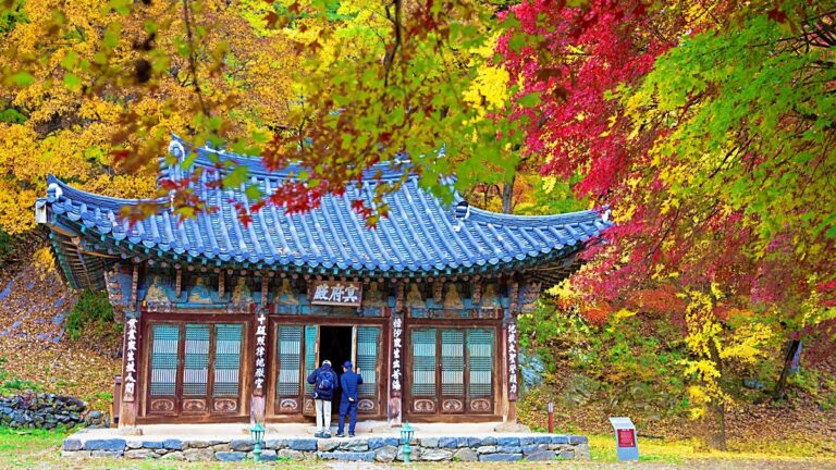 공주