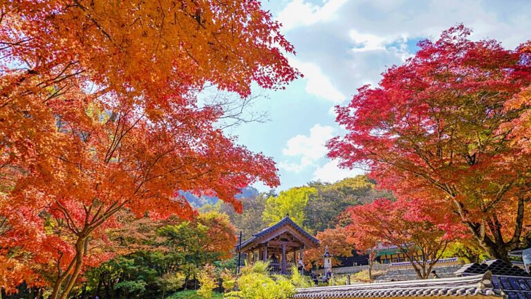 전주