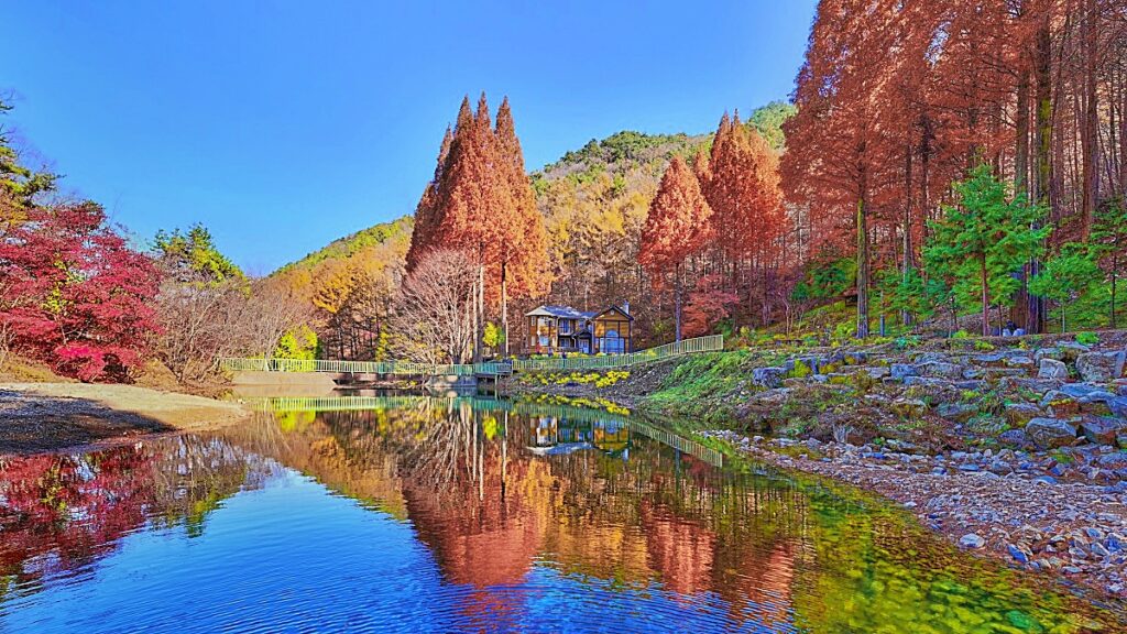 “입장료 0원인데 이런 풍경?”... 논산 ‘온빛자연휴양림’, 가을엔 꼭 가야 할 곳 1 논산