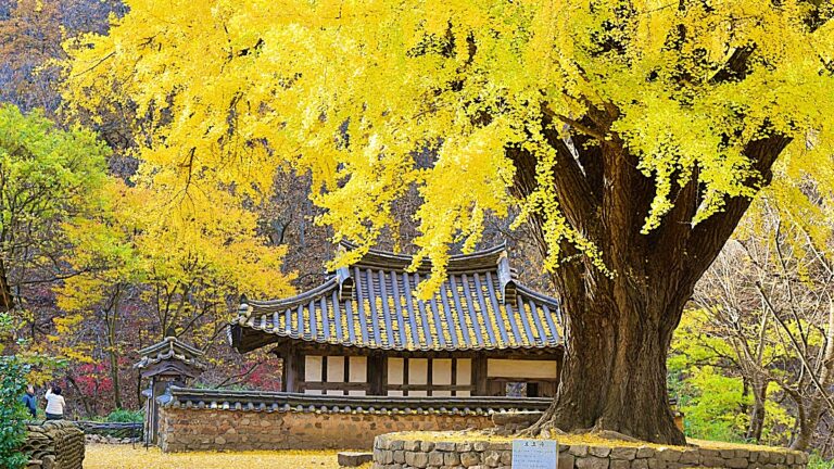 경주
