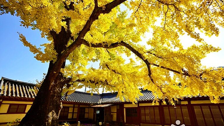 서산