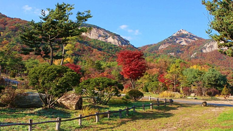 남양주