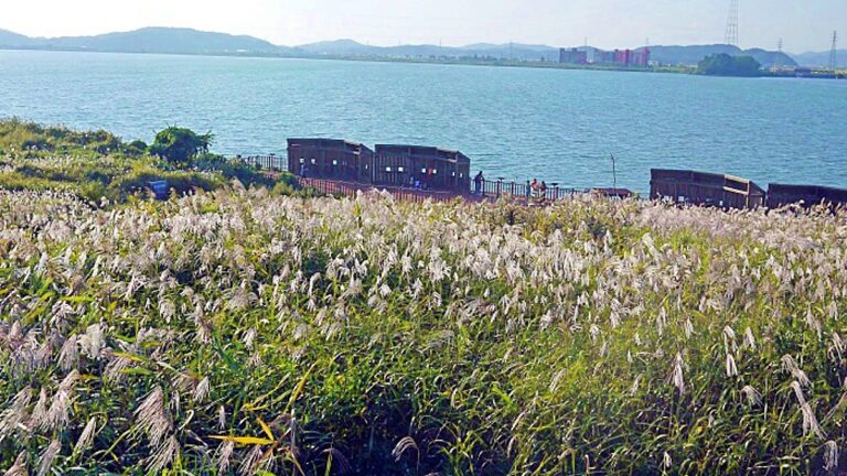 군산