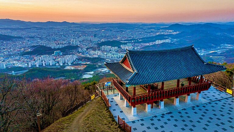 대전