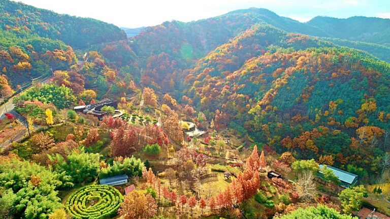 고령