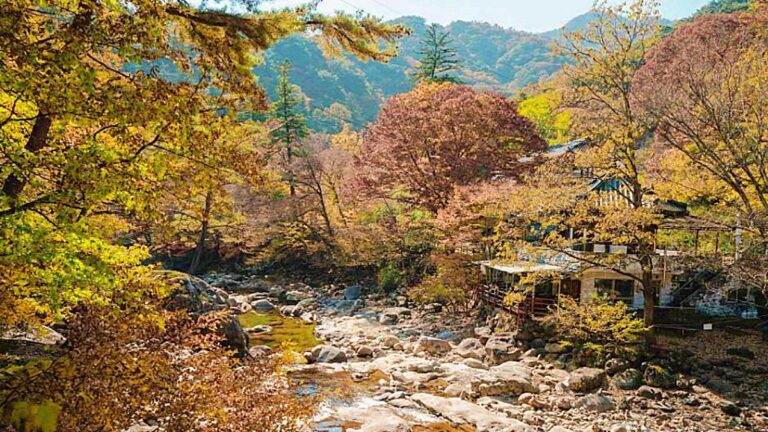 산청
