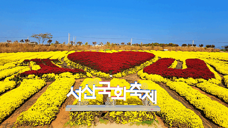 국화축제