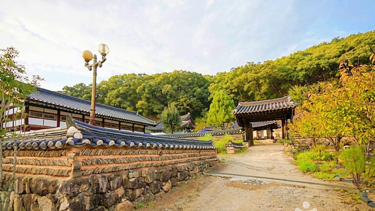 영천