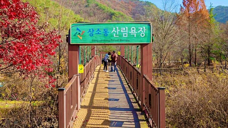 대전